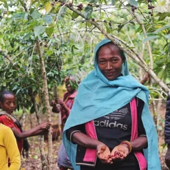 Ca phe ethiopia aramo 1