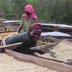 Ca phe ethiopia aramo 2