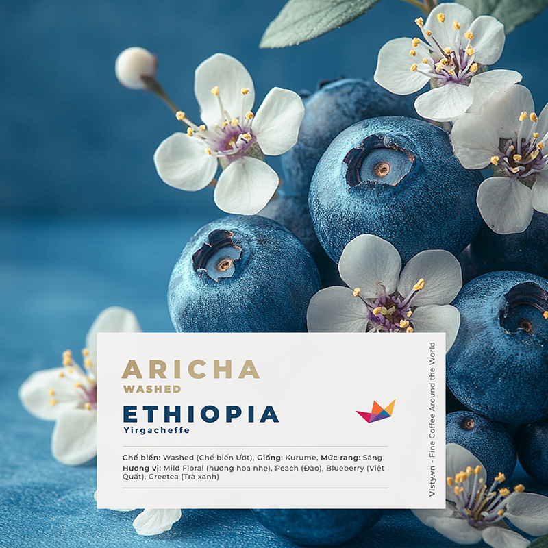ca phe ethiopia aricha TOH Ava