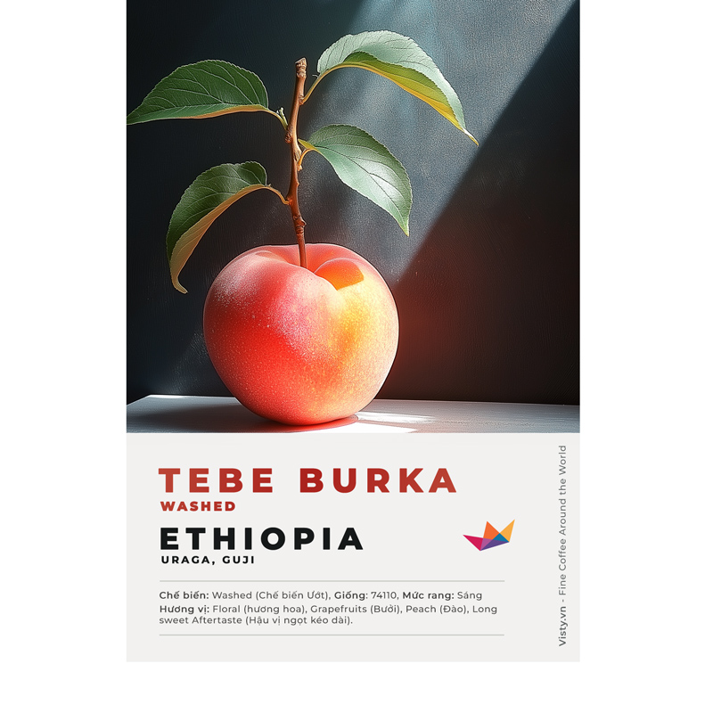 ca phe ethiopia guji tebeburka avt