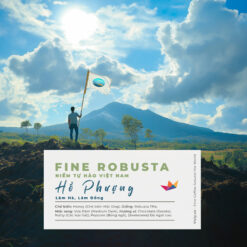 ca phe fine robusta honey lam ha ho phuong avt