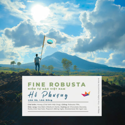 ca phe fine robusta honey lam ha ho phuong avt medium