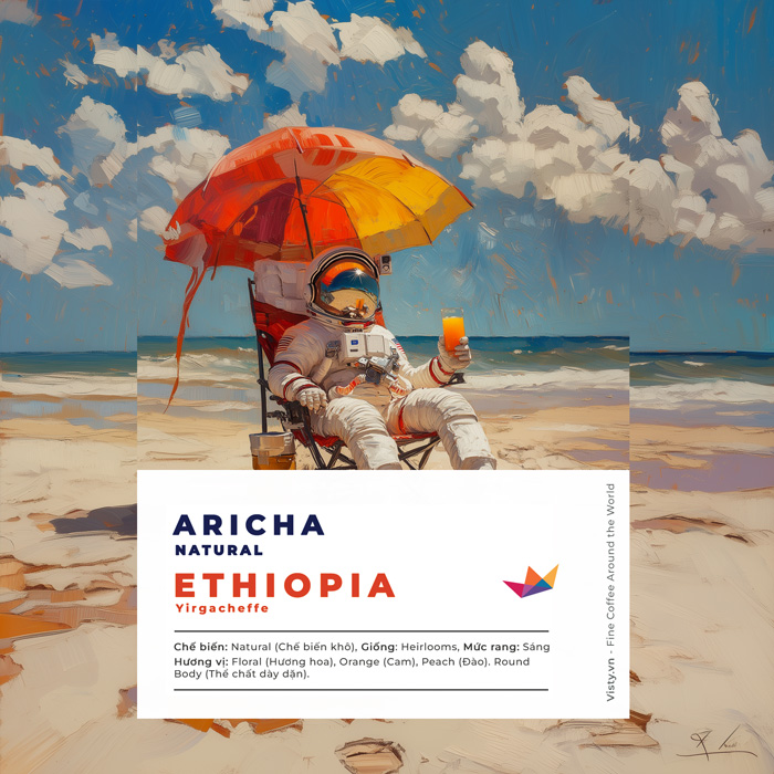 ethiopia aricha 2024 avt