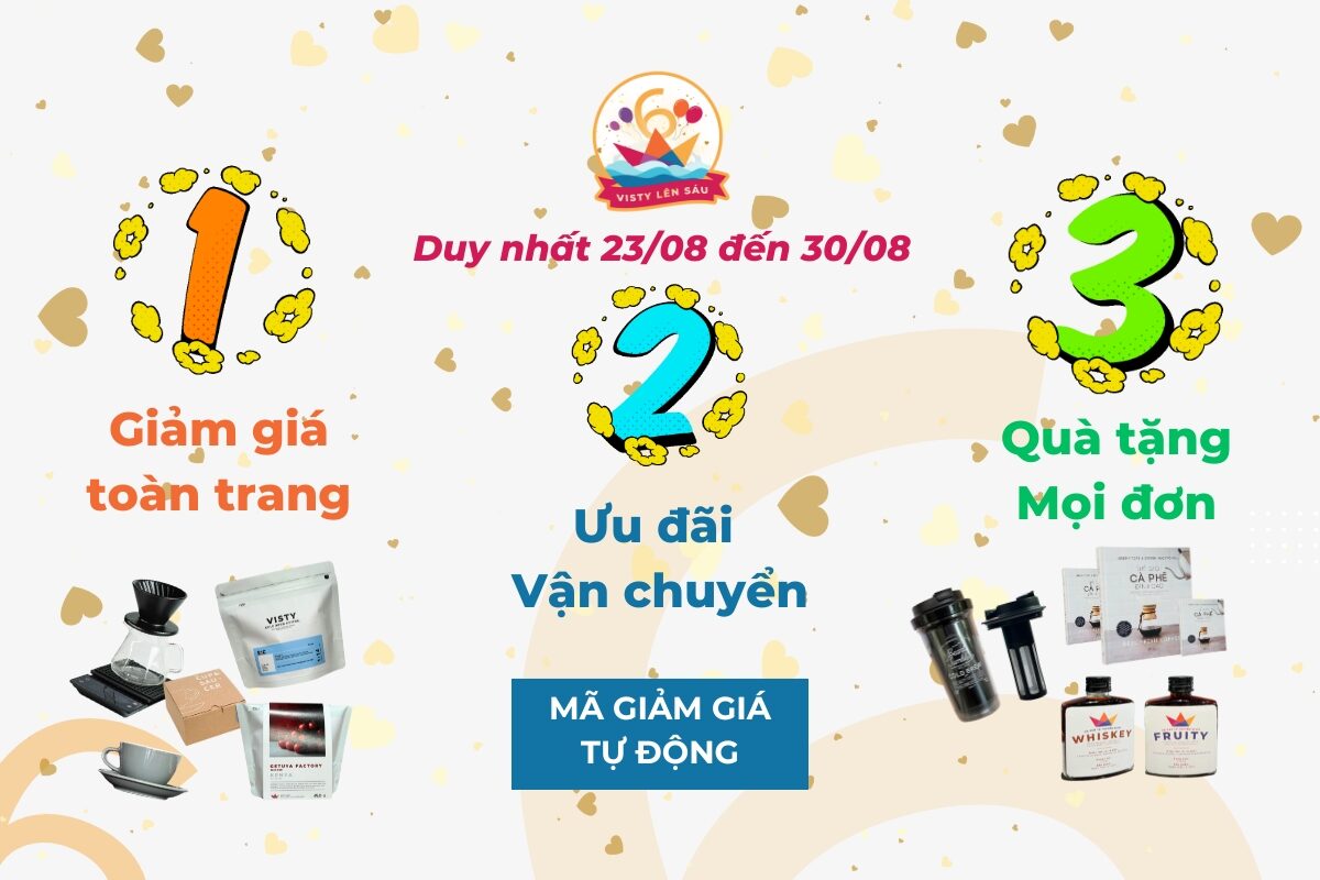 sinh nhat visty 6 tuoi uu dai large