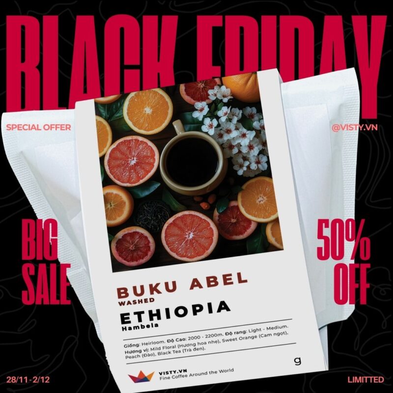 visty black friday 2024 2 large