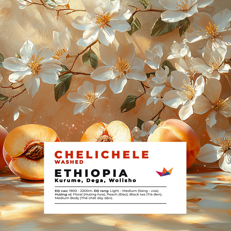 ca phe ethiopia chelichele 2nd toh