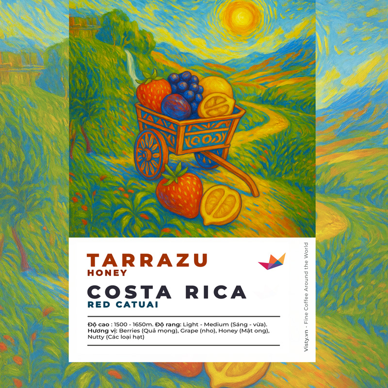 costa rica tarrazu avt