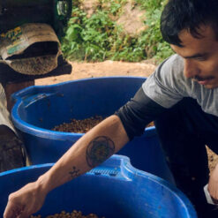 ca phe geisha peru 10