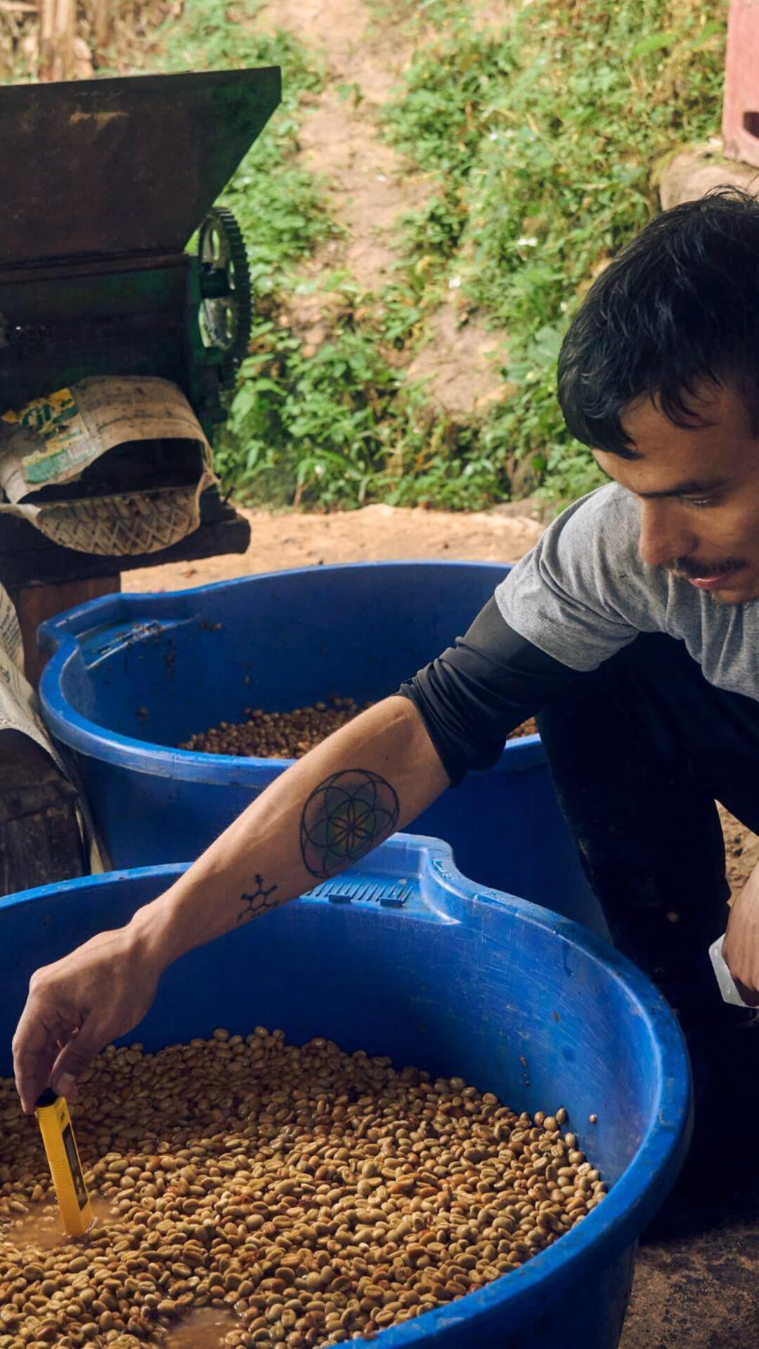 ca phe geisha peru 10