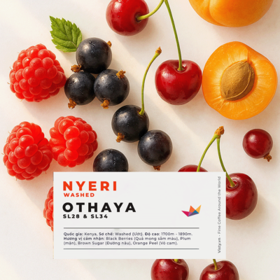 AVA KENYA NYERI 2025