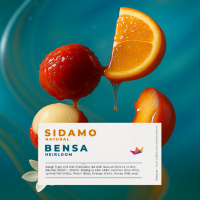 Avatar ca phe Ethiopia Hamasho Bensa Sidamo 2025
