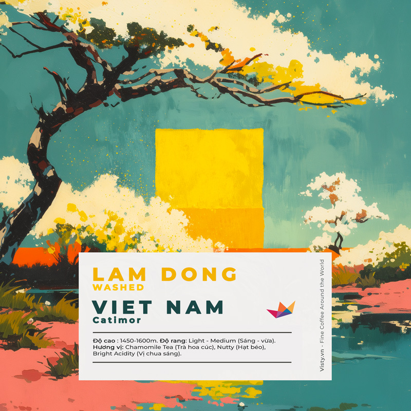 ca phe nui min washed pour avt