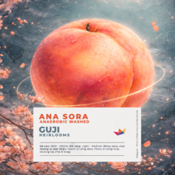 Avatar ca phe Ana Sora 2026