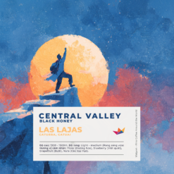 Avatar ca phe COSTA RICA LAS LAJAS 2026