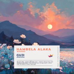 Avatar ca phe Hambela Alaka 2026