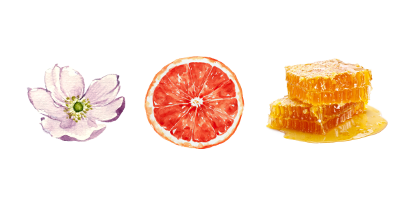 Ethiopia Guji Hamebla Alaka