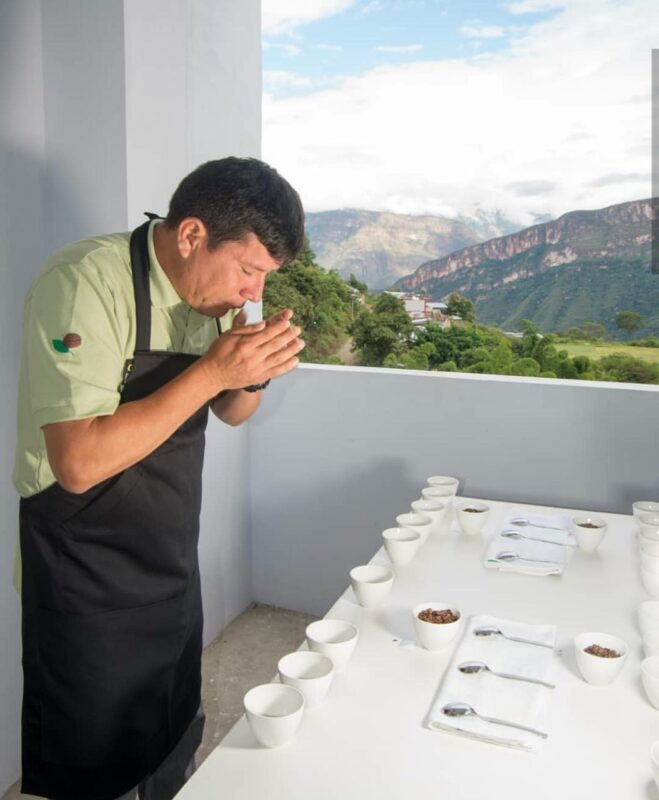 Geisha peru natural visty 4